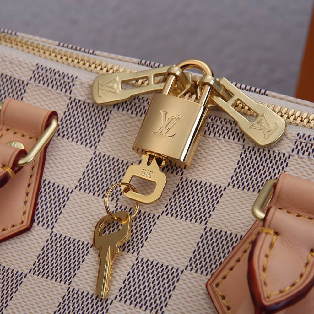 L0vis Vvtt0n SPEEDY 25 HANDBAG