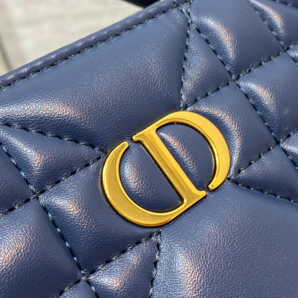 D10r CARO BOX BAG