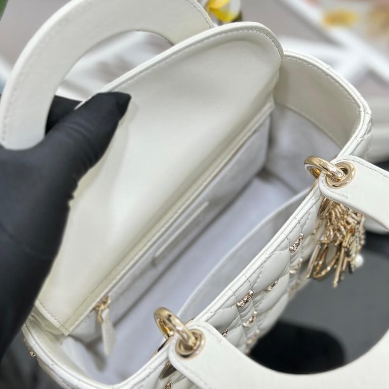 SMALL LADY D10r BAG