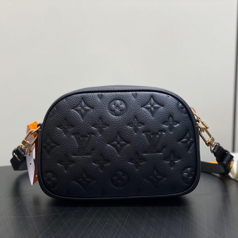 LV Tiny Camera Bag