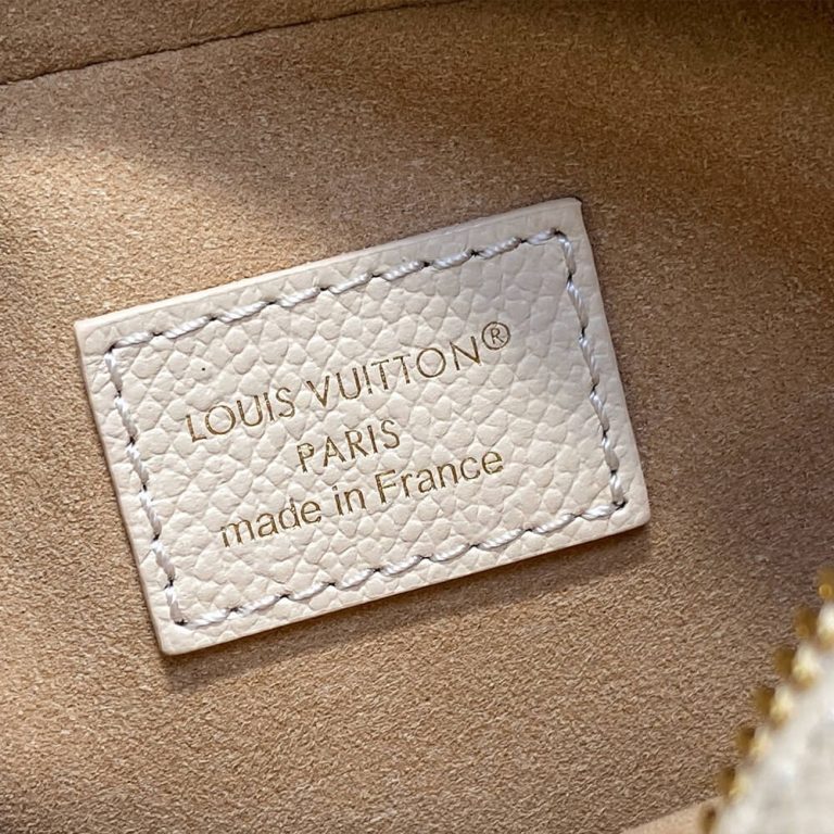 LV Tiny Camera Bag