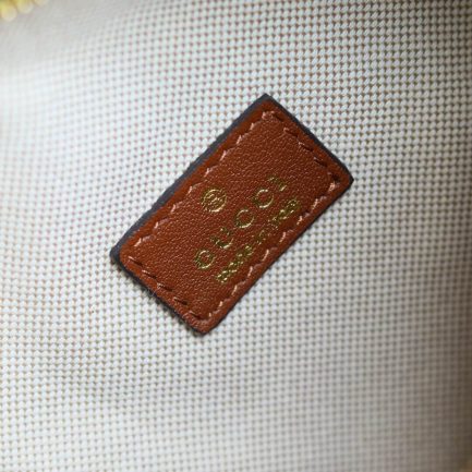 Gvc*1 Mini GG handbag